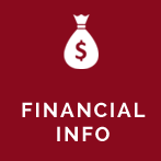 Financial Information Icon